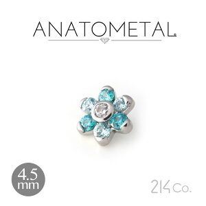 4.5mm XeX t[Gh Pii & ԂтuAgjANATOMETAL