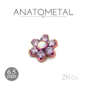 6.5mm `^ t[Gh PiiJ{V & ԂтuAgjANATOMETAL