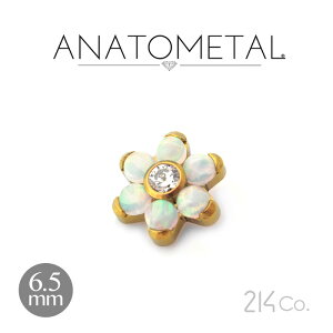 6.5mm `^ t[Gh PiiuAg & ԂтJ{VjANATOMETAL