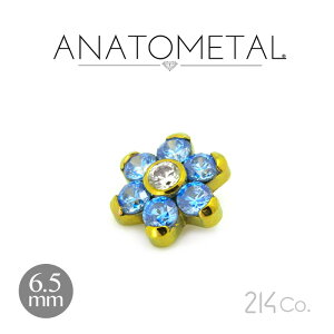 6.5mm `^ t[Gh Pii & ԂтuAgjANATOMETAL