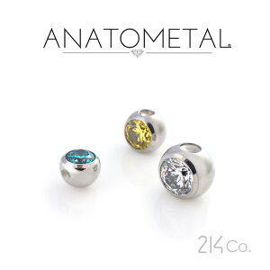 6.4mm XeX WFr[Y 1/4" Pi ANATOMETAL