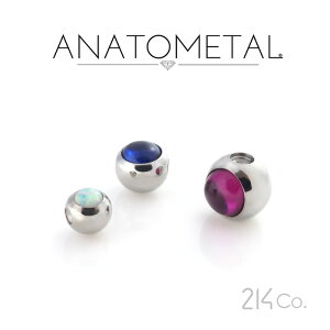 4.75mm XeX J{V WFr[Y 3/16" Pi ANATOMETAL