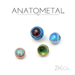 5.5mm `^ J{V WFr[Y 7/32" Pi ANATOMETAL