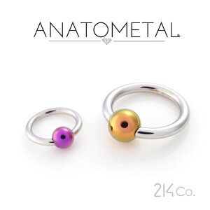 10Ga. ステンレス製キャプティブリング & チタン製ビーズ ANATOMETAL