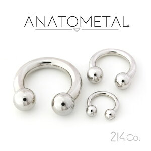 8Ga. XeX T[L[o[x ANATOMETALT[WJ XeX {fBsAX C^[i C^[i[ lW 8gyčAig^АKAiz