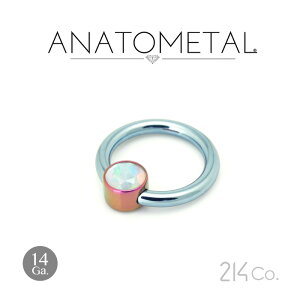 14Ga. �`�^���� �W�F���x�[���i3/16�j& �`�^���� �L���v�e�B�u�����O ANATOMETAL