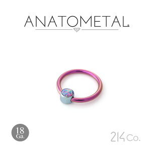 18Ga. �`�^���� �J�{�V���� �W�F���x�[�� (1/8) & �`�^���� �L���v�e�B�u�����O ANATOMETAL