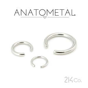 8Ga. XeX LveBuO |Xg Pi ANATOMETAL