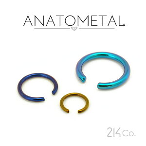 6Ga. `^ LveBuO |Xg Pi ANATOMETAL