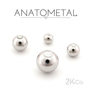 XeX r[Y Pi ANATOMETAL