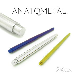 5/8"Ga.p XeX ACbgeCp[ ANATOMETALĩQ[Wp̓JeS