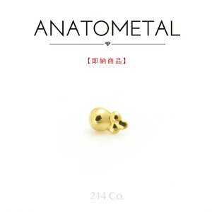 18 CG[S[h fX^Gh 1|Cg Pi ANATOMETAL