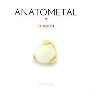 18 CG[S[h 3mm {[NEGh (zCgIp[) Pi ANATOMETAL