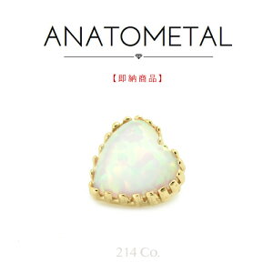 18 CG[S[h Ip[n[gGh (zCgIp[) Pi ANATOMETAL