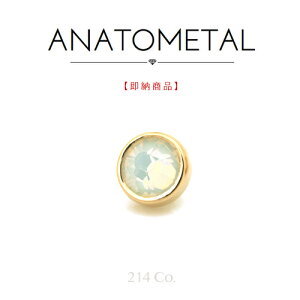 18 CG[S[h 3mm tbg{g Gh Pi (zCgIp[) ANATOMETAL