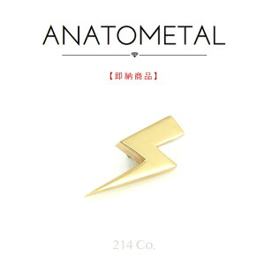 18CG[S[h CgjO{g Gh Pi ANATOMETAL