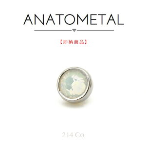 18 zCgS[h 3mm tbg{g Gh Pi (zCgIp[) ANATOMETAL