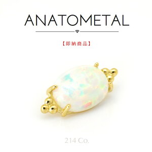 18 CG[S[h t@^Gh Pi (zCgIp[) ANATOMETAL