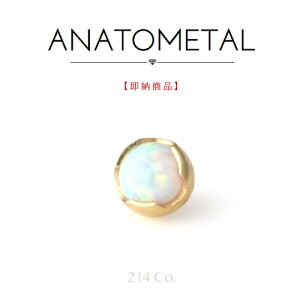 18 CG[S[h 3mm vOJ{V WFGh Pi (zCgIp[) ANATOMETAL