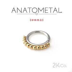 XeX  18 CG[S[h H[O 16Ga. 5/16" ANATOMETAL