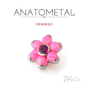 6.5mm `^ t[Gh PiiuAg & ԂтJ{VjANATOMETAL