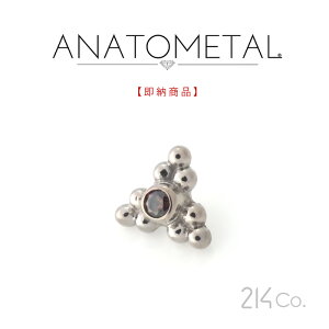 5.5mm 18zCgS[h Tui3|CgGh Pi iuEWRjA^1.5mmjANATOMETAL