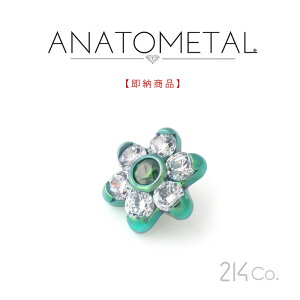 5.5mm `^ t[Gh Pii & ԂтuAgjANATOMETAL