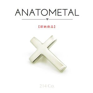 18 zCgS[h NXGh X[TCY Pi ANATOMETAL