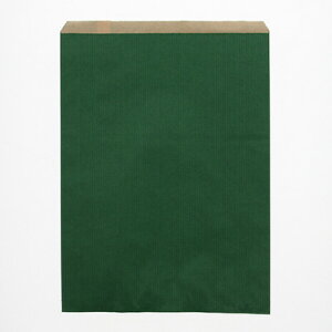 HEIKO 紙袋 柄小袋 Rタイプ R-10 筋入無地グリーン 200枚 幅250×高330mm