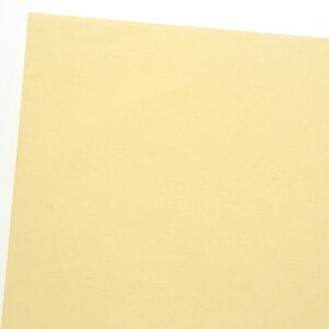 y[֑ΉzHEIKO PCt  A04 Xg[ 50 788×545mm