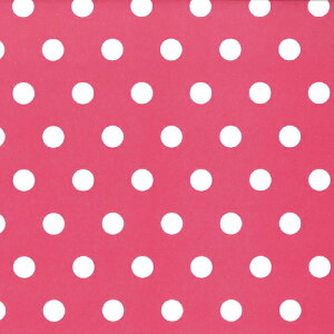 HEIKO 包装紙 半才 シンプルドット R 100枚