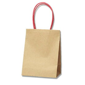 【メール便対応】HEIKO 紙袋 プチバッグ 9-6 未晒無地 10枚 幅90×マチ60×高120mm