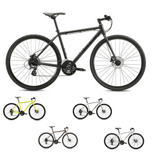 FUJI(フジ) RAIZ DISC(ライズディスク) 2025【キャンペーンセール価格】※予定台数に達し次第終了