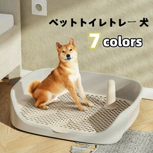 ybggCg[   pgCg[ pgC ͂ t` XmR ybggC g[jO  M[TCY グ