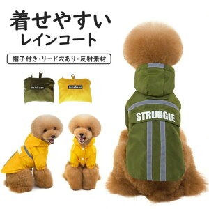 ybgpCR[g CEFA p J  Xqt [h  [ܕt ˃e[vt