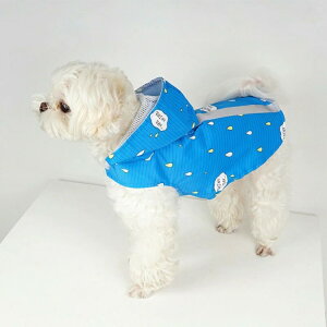 CR[g ybgpCR[g CEFA  t[ht ˃e[vt L  [h