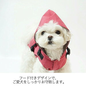 CR[g ybgpCR[g CEFA t[ht ˃e[vt L  [h