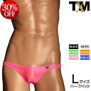 Clearskin Simple fit back seam Bikini Lsize　メンズ　ビキニ　下着　パンツ　アンダーウェア【TMコレクション】