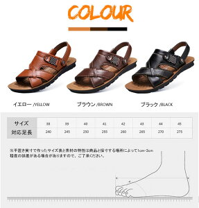 T_ Y Xb| U[  T_ [}OfBG[^[ r[`T_  AU[T_ t 2way tbg X|[c y ₷ ₷  