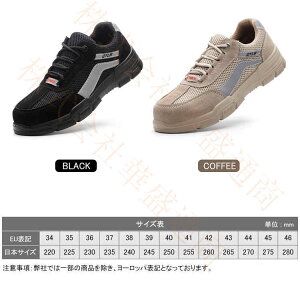 SC ƌC Ȃ Y fB[X   ZteB[V[Y SXj[J[ A[NV[Y c |c ܐK[h C ₷ Ȃ ϊ ݔ