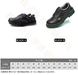 SC ƌC Ȃ Y fB[X   ZteB[V[Y SXj[J[ A[NV[Y c |c ܐK[h C ₷ Ȃ ϊ ݔ