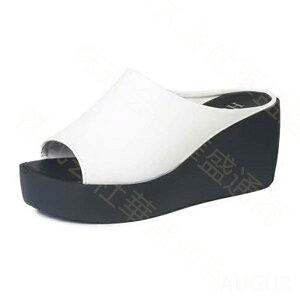 T{T_ T_ r[`T_ ăT_ r y ~[ EFbW\[ I[vgD T{ C T_ T}[u[c ɂ nCq[ C b L 傫T