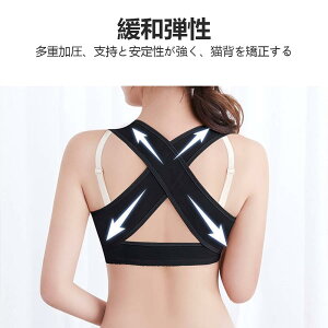 Lwxg 2Zbg fB[X w؃T|[gCi[  ͂ w xg pxg oXgAbv p K ʋC \ E֗ ␳