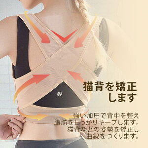 Lwxg 2Zbg Lw p w  xg oXgAbv  fB[Xp Ci[ pxg ␳ {fBX[c  ObY w؃T|[g