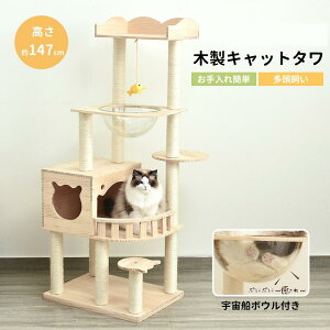 Lbg^[ cat tower v nʒu u Bꏊ t@bV SS ybgpi ܂Ƃ  LObY ˂ W]  LV  ؐ VR FD` 