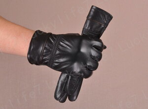  Y U[ v lC V v  Y U[ vO[u oCN O[u v  Y U[ h ۉQ oCNO[u  Y U[ ~p ނ am 