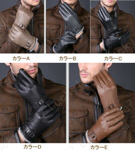  Y U[ v lC V v  Y U[ vO[u oCN O[u v  Y U[ h ۉQ oCNO[u  Y U[ ~p ނ am 