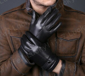  Y U[ v lC V v  Y U[ vO[u oCN O[u v  Y U[ h ۉQ oCNO[u  Y U[ ~p ނ am 