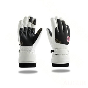 Xm[{[hO[u XL[O[u oCNO[u LbY WjA Y fB[X  O[u h g  ] oCN ʋ ʊw Y fB[X Mtg 