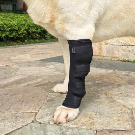 ペット 犬 足用 ひざ用 サポーター 1個 4サイズ ソフトタイプ ドッグ 保護 関節 膝 靭帯 脱臼 プロテクター 介護 メール便